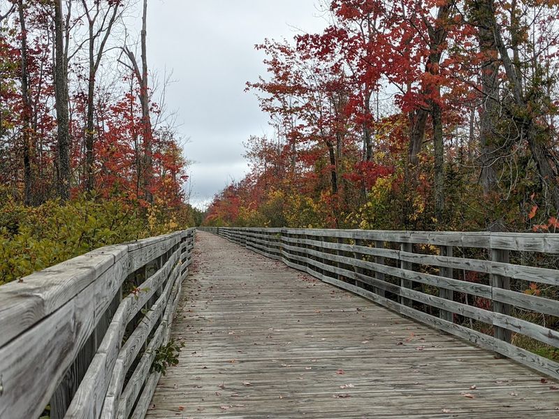 This Michigan Trail Is Perfect For A Long Ride Through Stunning Landscapes - Decor Hint Why This Trail Stays With You