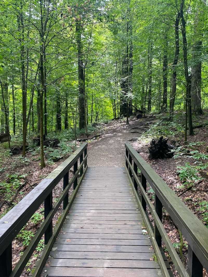 Why This Trail Stays Stuck In Your Memory