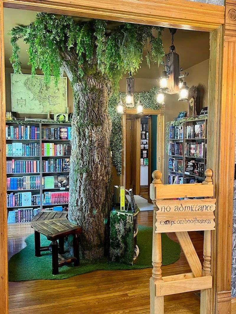 Black Cat Books & Oddities