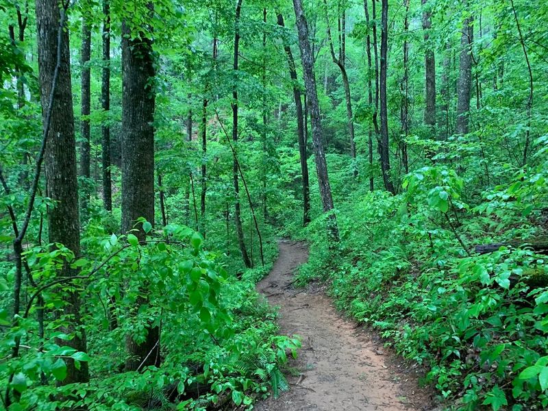 The Trail Itself Is A Genuine Adventure