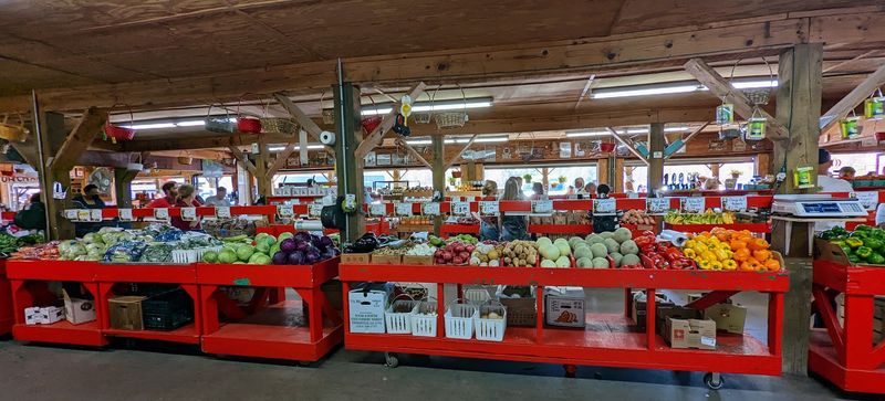 Fresh Apple Varieties In Late Summer And Fall