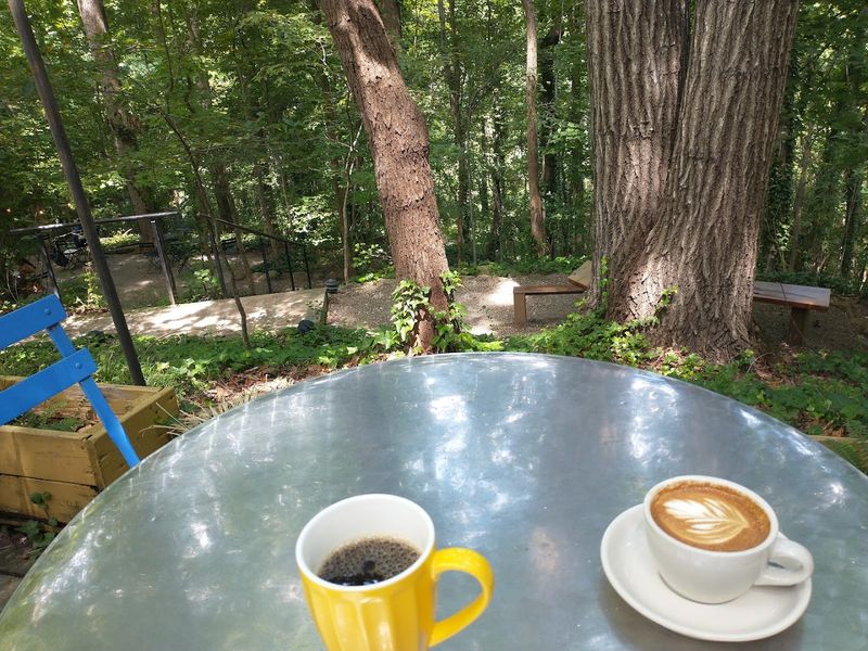 Forest Views Make This Chapel Hill Cafe Feel Almost Unreal