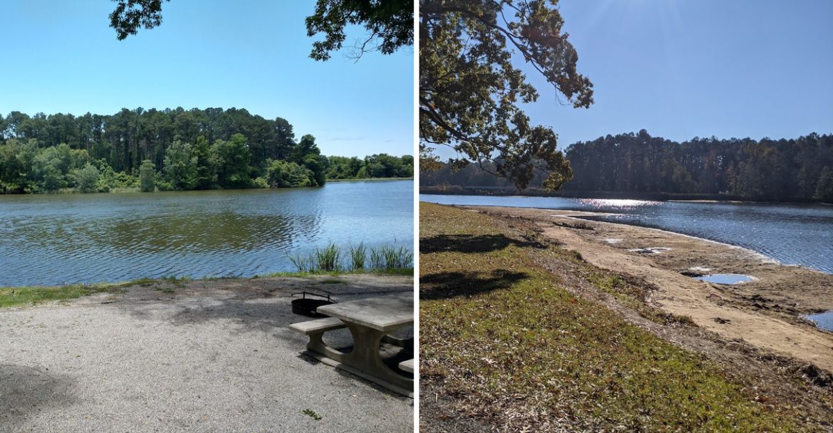 Quieter Than Any Beach On The Georgia Coast This Beautiful Veterans Park Lake Is Worth The Detour - Decor Hint