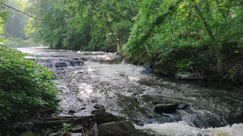 9 Connecticut Rivers Worth Visiting For A Peaceful Summer Escape - Decor Hint Scantic River State Park, Enfield