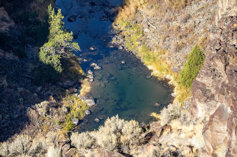 Bruneau River Canyon
