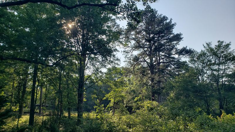 This Underrated State Park In Georgia Is So Little Known That Even Locals Don't Know It Exists - Decor Hint Mountain Biking Through Georgia Forest Terrain