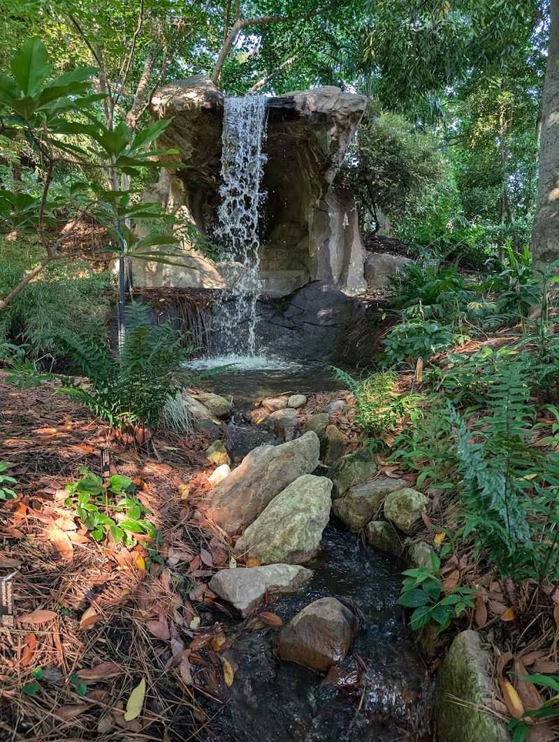 This Raleigh Garden Rewards Slow Wandering