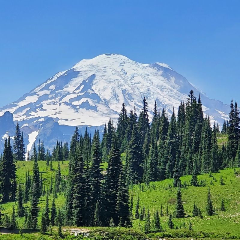 Naches Peak Loop Trail