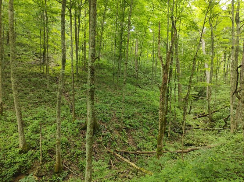 Quiet Trails State Nature Preserve