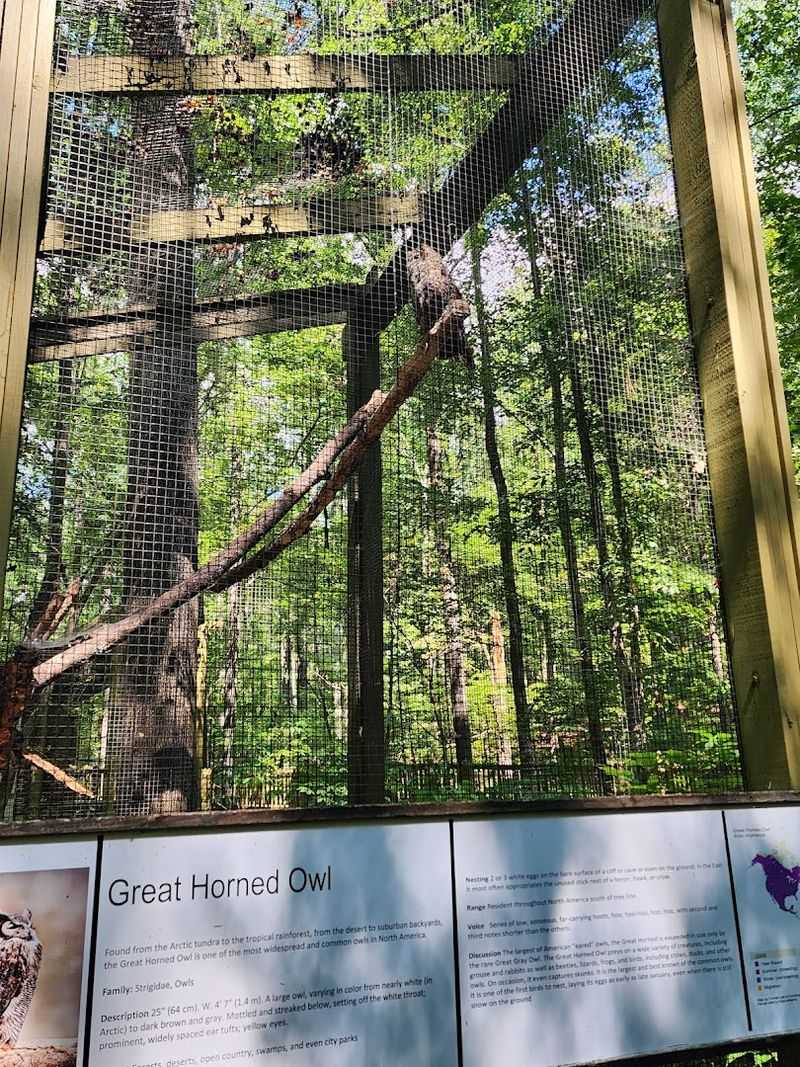 Treetop Nature Trail And Alabama Wildlife Center