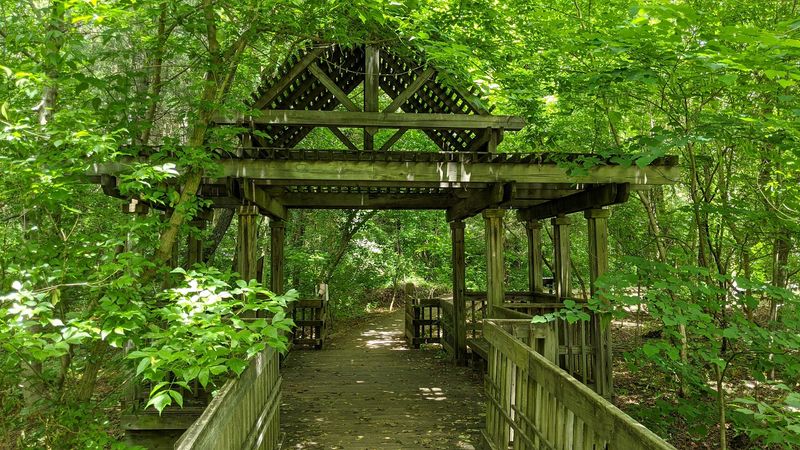 Beaver Lake Bird Sanctuary Boardwalk