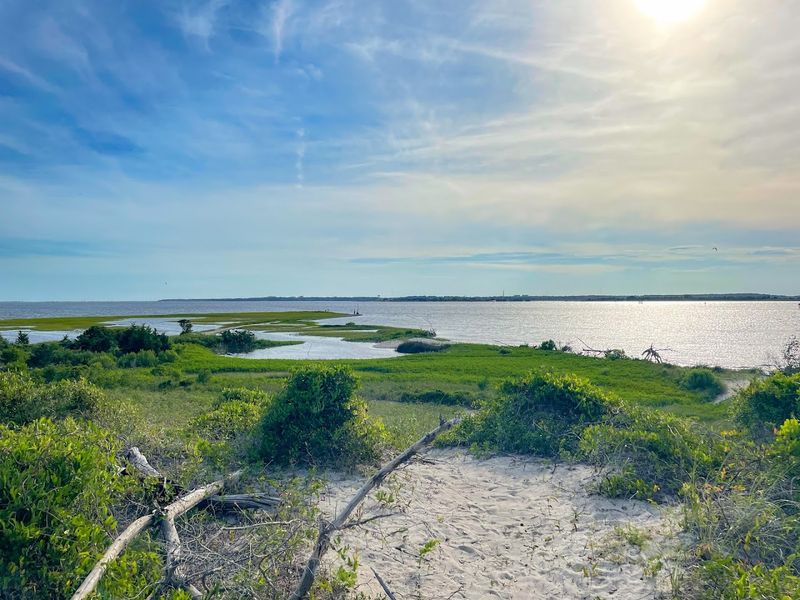 9 Dirt-Cheap Road Trip Destinations In North Carolina That Feel Like A Million Bucks - Decor Hint Fort Fisher State Recreation Area
