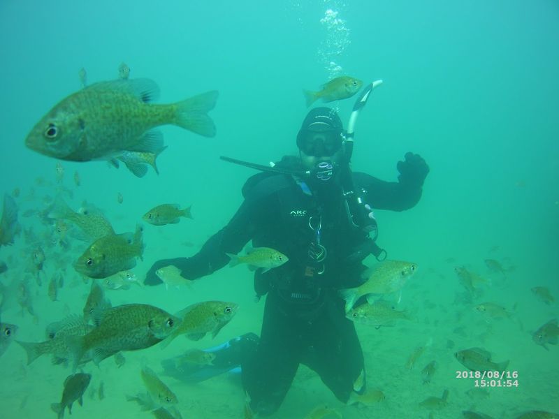 An Underwater World Packed With Sunken Attractions