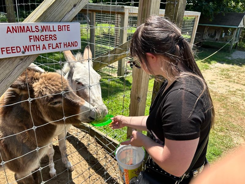Why Long Island Game Farm Keeps Bringing People Back