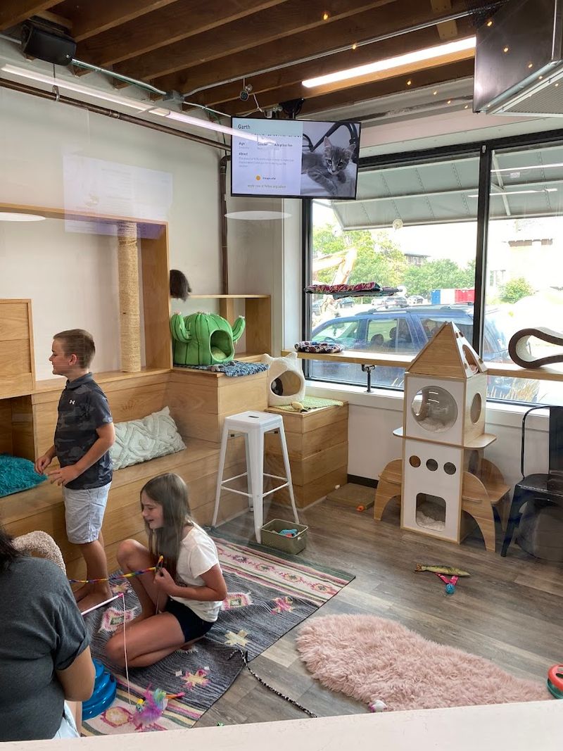 Kids Need To Be Old Enough For The Playroom