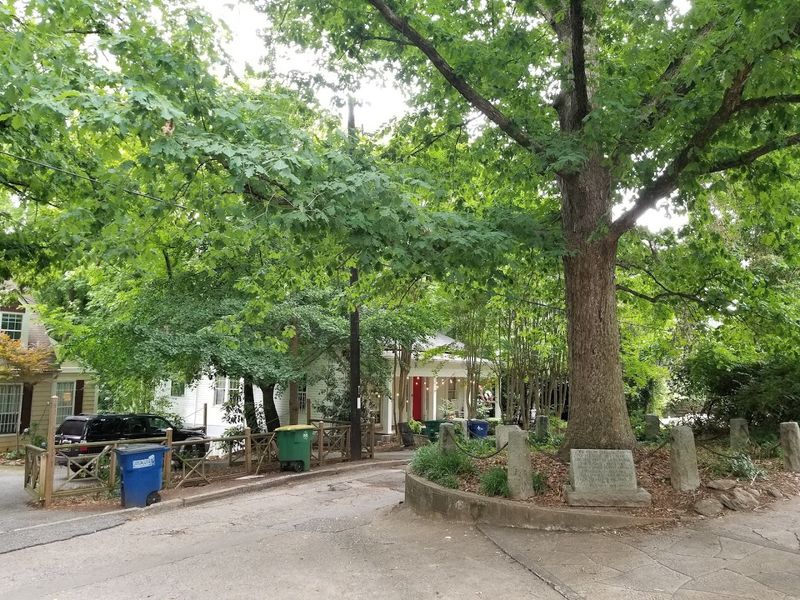 There Is An Ancient Tree In Georgia That Legally Owns Itself And The Ground Around It - Decor Hint Athens Georgia Offers So Much More Around The Corner
