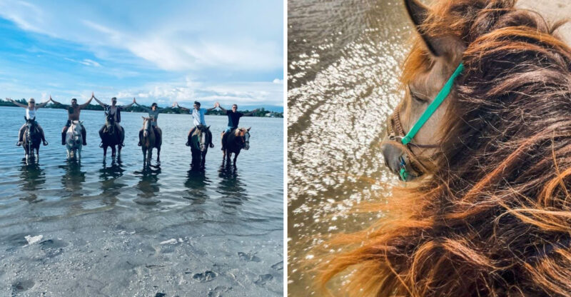 Ride Straight Into The Waves On This Unforgettable Florida Horseback Ride