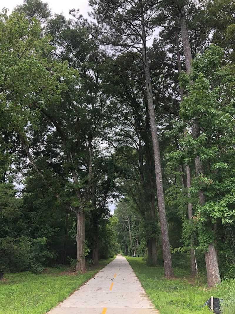 A Paved Trail That Feels Like A Forest Road