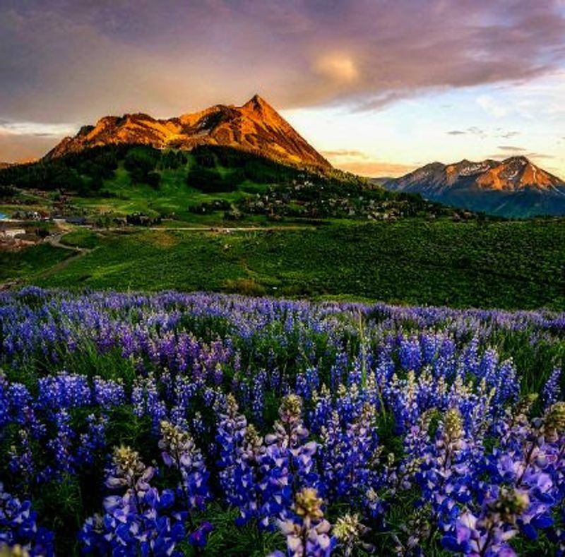 These 20 Colorado Views Prove Why The State Is So Beloved - Decor Hint Crested Butte Wildflower Meadows