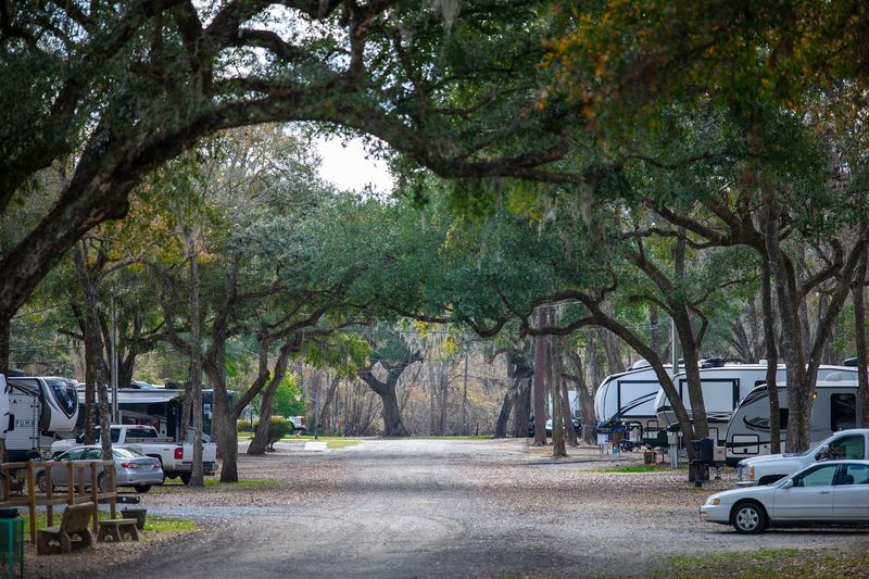 Spacious Skies Campgrounds Savannah Oaks