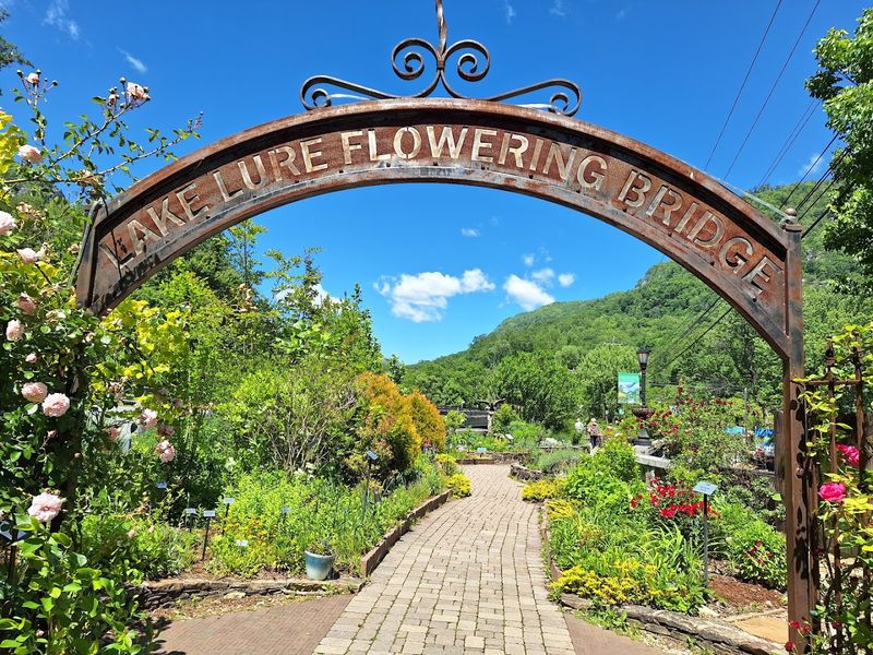 9 Dirt-Cheap Road Trip Destinations In North Carolina That Feel Like A Million Bucks - Decor Hint Lake Lure Flowering Bridge