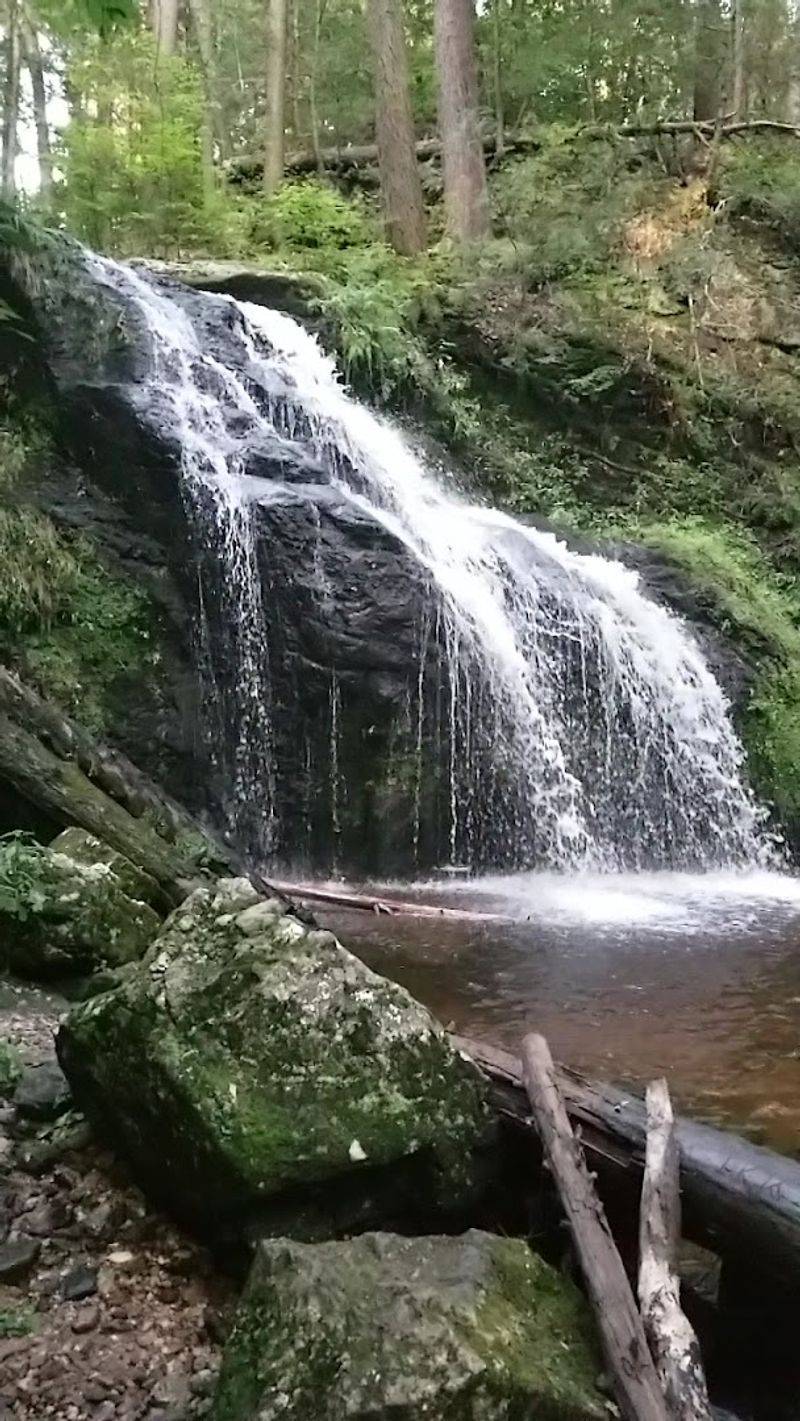 Nonnewaug Falls