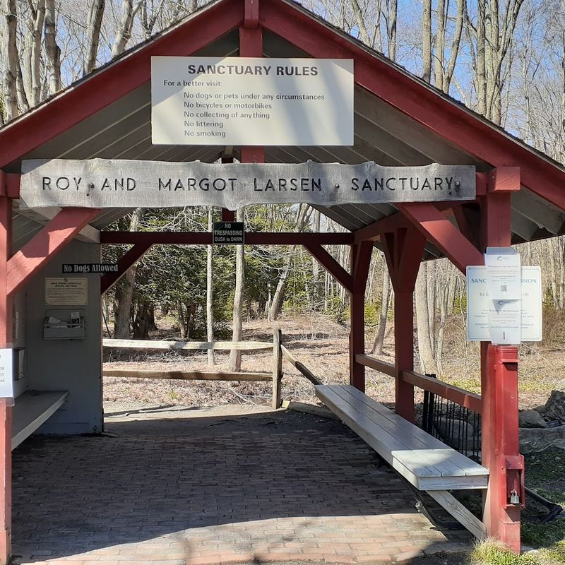 10 Connecticut Wildlife Sanctuaries And Rescue Centers Where Animal Lovers Can Get An Up-Close Look - Decor Hint Connecticut Audubon Society Center At Fairfield, Fairfield
