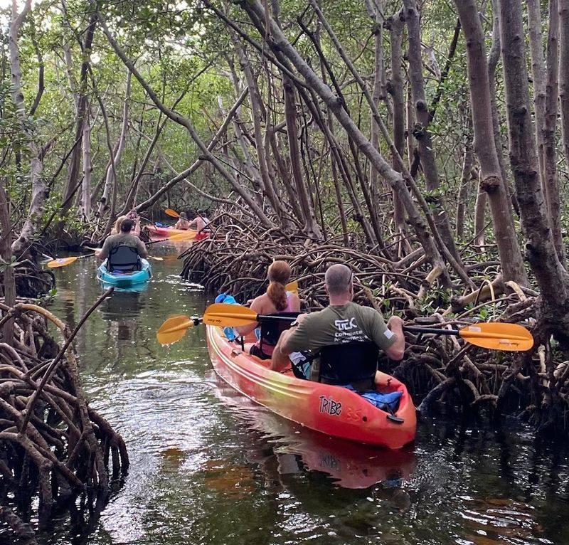 South Lido County Park (Mangrove Tunnels)