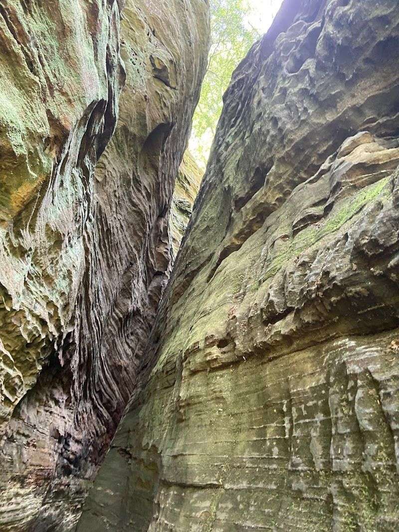 Cantwell Cliffs, Hocking Hills State Park