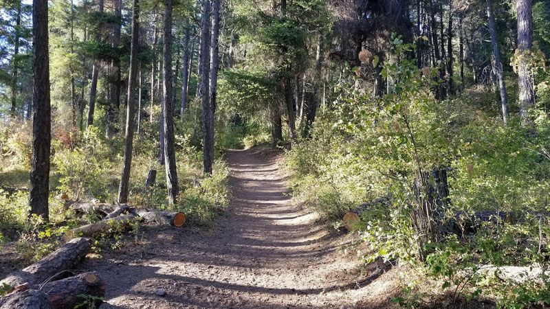 Trails That Reward Every Step