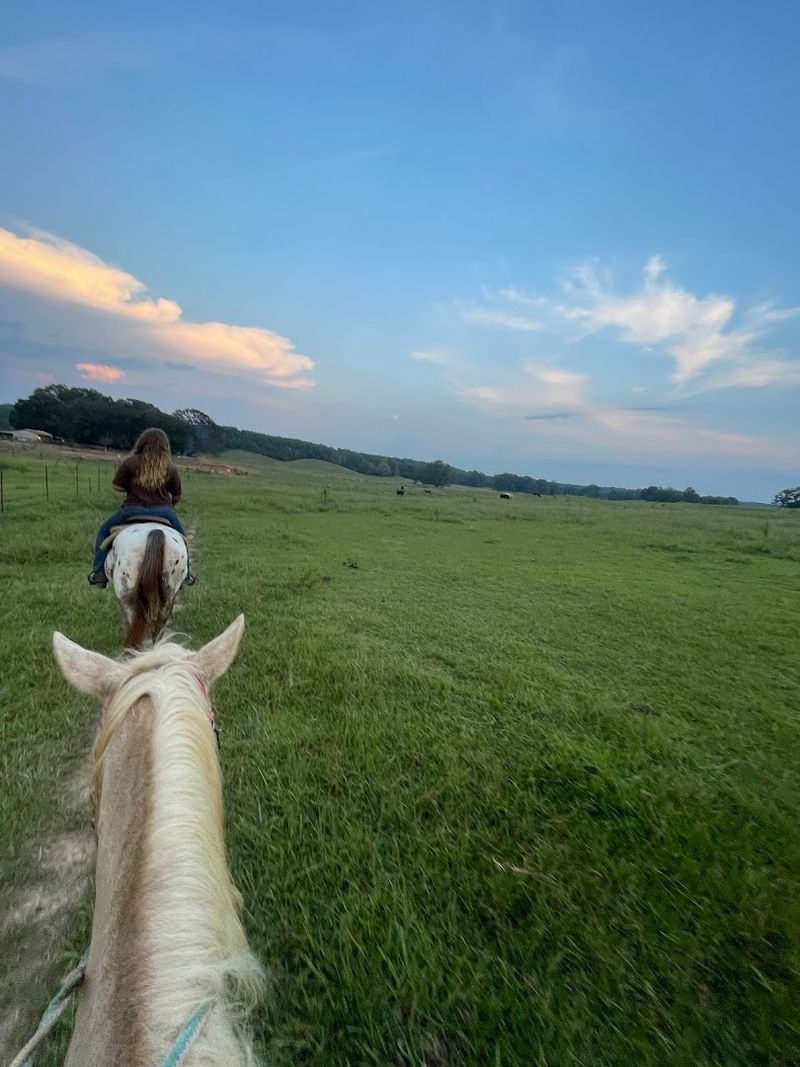 13 Family-Friendly Horseback Riding Ranches Across Georgia That Make A Weekend Feel More Adventurous - Decor Hint Elsberry Riding & Farm