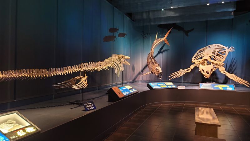 Smithsonian Affiliation: A Museum With Serious Scientific Credentials