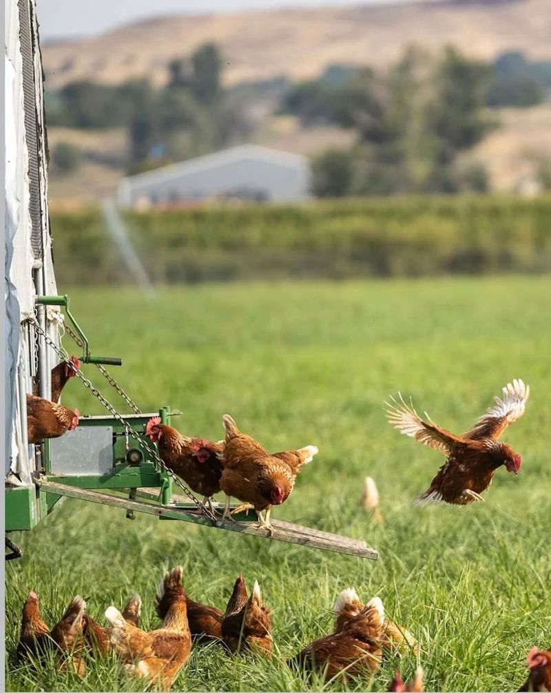 Kids Get A Close-Up Look At Where Real Food Starts