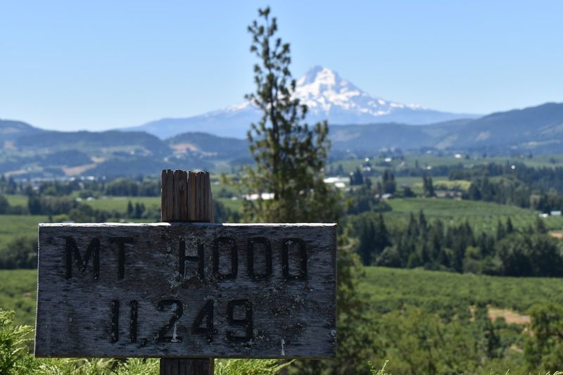 11 Oregon Mountain Views That Feel Almost Too Beautiful To Be Real - Decor Hint Panorama Point County Park