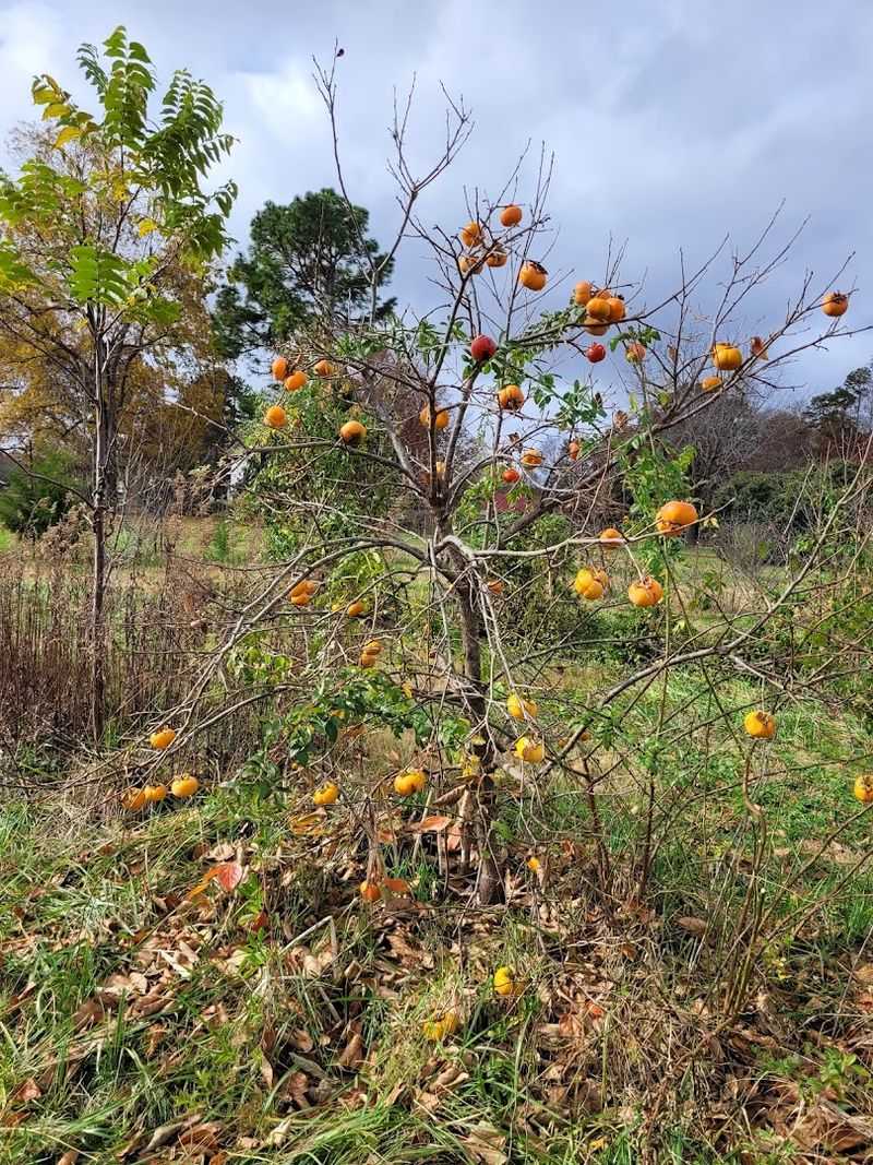 No-Spray Growing Practices Add To The Backroad Appeal