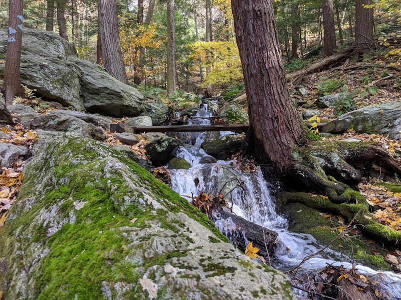 Why This Park Deserves More Visitors