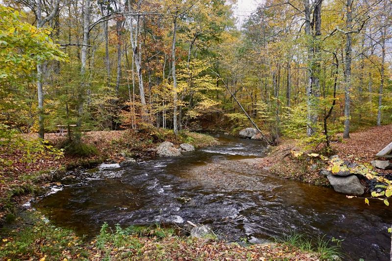 Fall Foliage That Stops You In Your Tracks