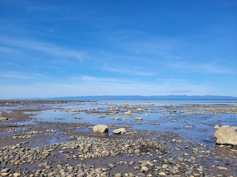 Murdock Beach Access