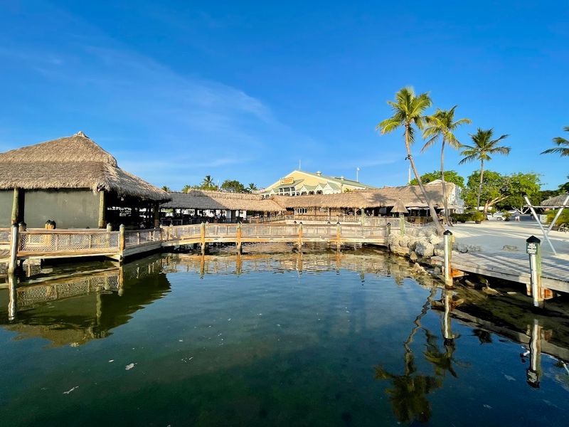 Islamorada Fish Company