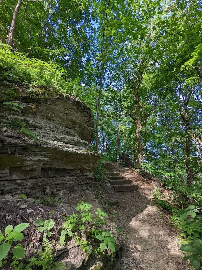 Best Times To Visit The Trail
