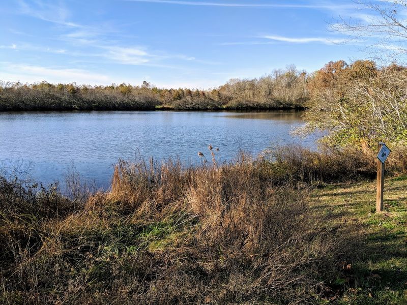 These 14 Kentucky Birdwatching Destinations Feel Like Hidden Front-Row Seats To Nature - Decor Hint Clarks River National Wildlife Refuge