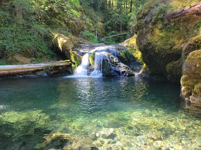 These 9 Oregon Swimming Holes Are So Beautiful Locals Will Lie About Where They Are - Decor Hint Brice Creek Falls Blue Hole, Umpqua National Forest
