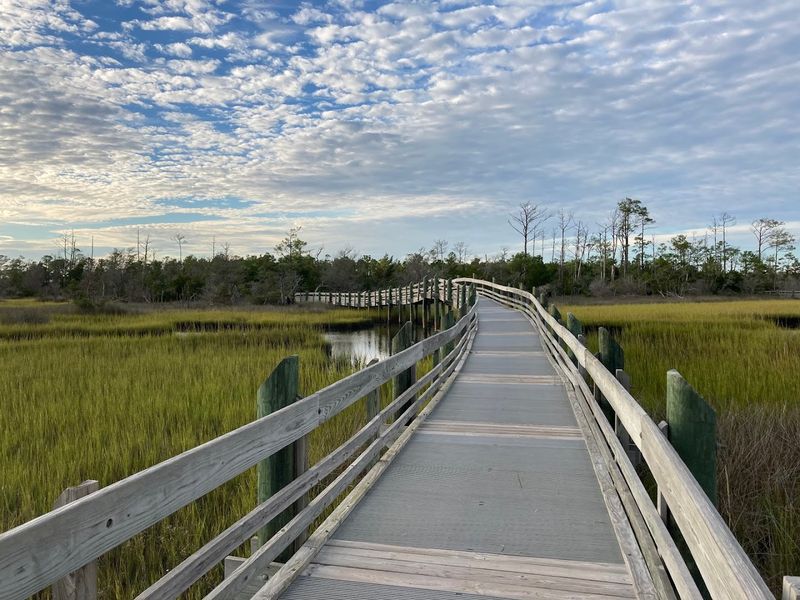 Boardwalks Lead Straight Into Coastal Stillness