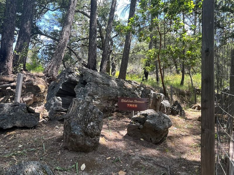 Petrified Forest