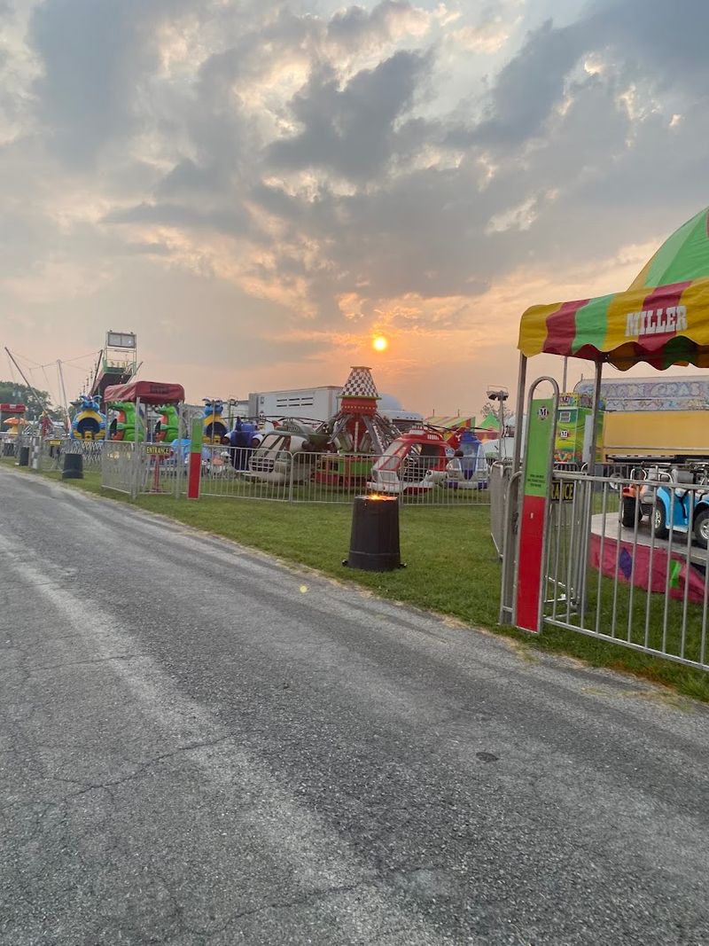 This Kentucky County Fair Brings Carnival Rides, Motorsports, And Classic Summer Fun Every July - Decor Hint Foggy Bottom Petting Zoo Wins Every Kid Over