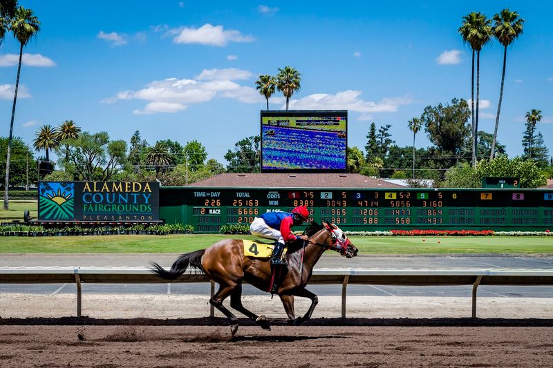 14 California Fairs That Make July Feel Like One Big Summer Celebration - Decor Hint Alameda County Fair, Pleasanton, Ends July 12