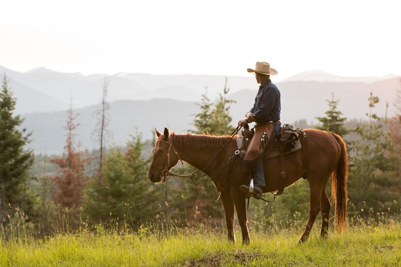 Ranch-Raised Horses Keep The Experience Rooted In Western Tradition