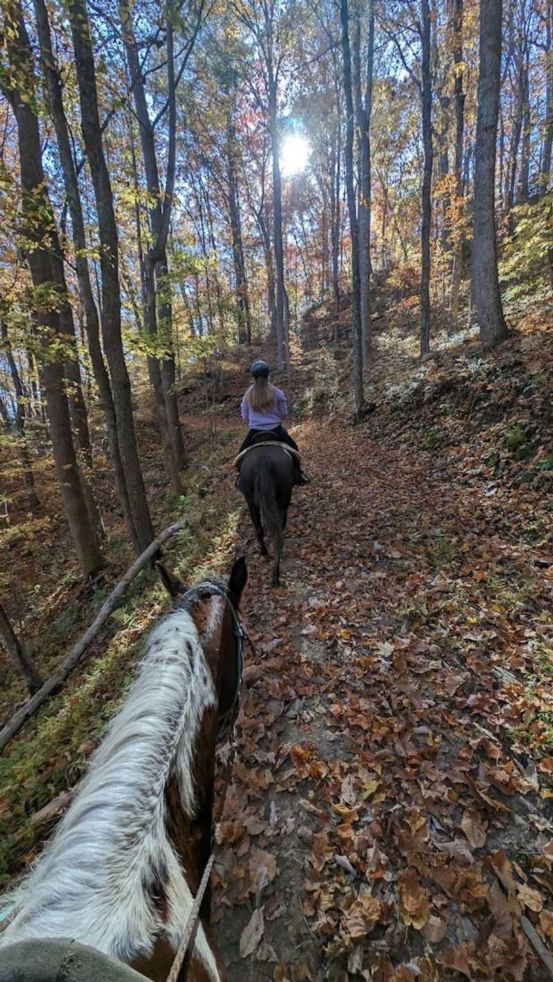 Smoky Mountain Trail Rides