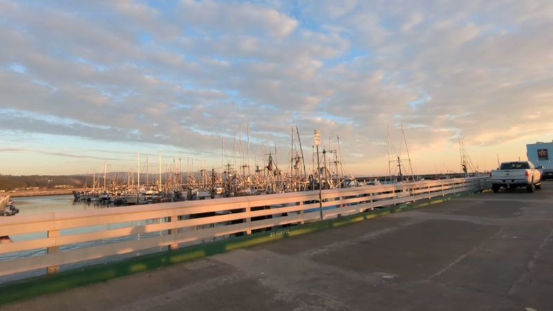 Half Moon Bay, Pillar Point Harbor