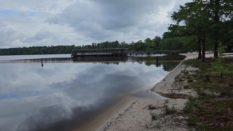 Jones Lake State Park Swim Beach
